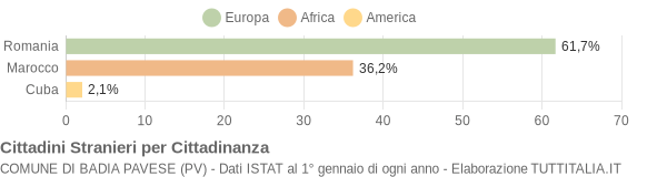 Grafico cittadinanza stranieri - Badia Pavese 2008