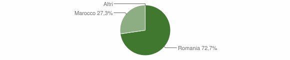 Grafico cittadinanza stranieri - Badia Pavese 2011