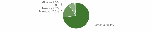 Grafico cittadinanza stranieri - Badia Pavese 2014