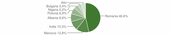 Grafico cittadinanza stranieri - Badia Pavese 2023