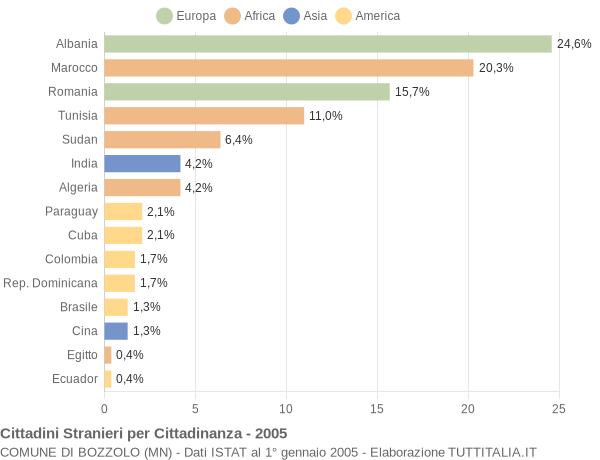 Grafico cittadinanza stranieri - Bozzolo 2005