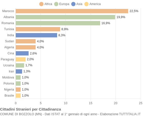 Grafico cittadinanza stranieri - Bozzolo 2007