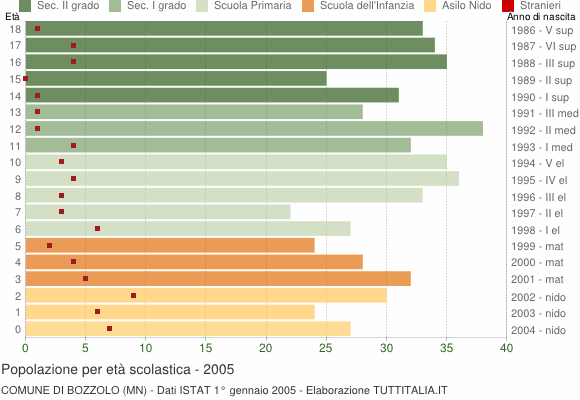 Grafico Popolazione in età scolastica - Bozzolo 2005