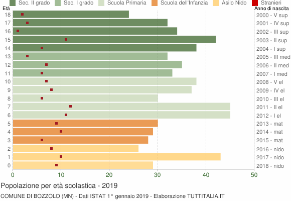 Grafico Popolazione in età scolastica - Bozzolo 2019