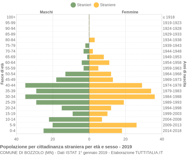 Grafico cittadini stranieri - Bozzolo 2019