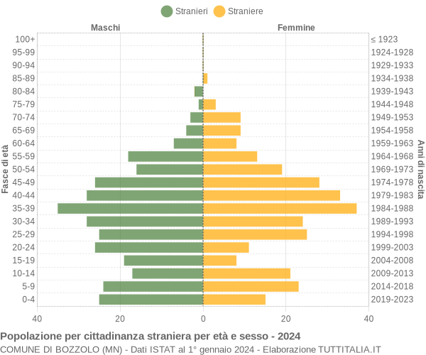 Grafico cittadini stranieri - Bozzolo 2024