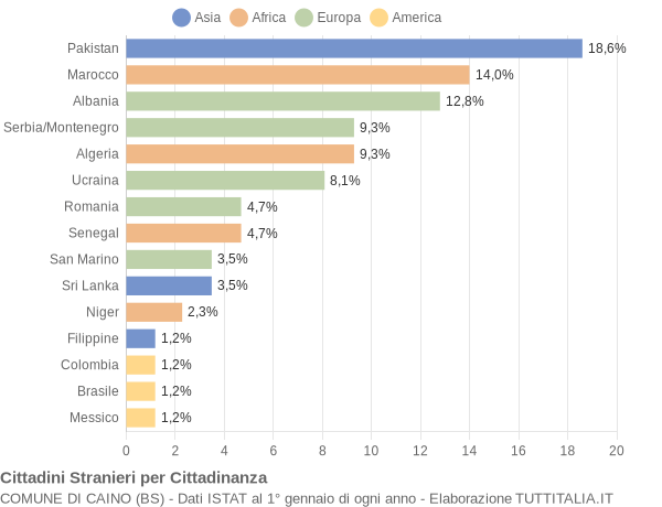 Grafico cittadinanza stranieri - Caino 2004