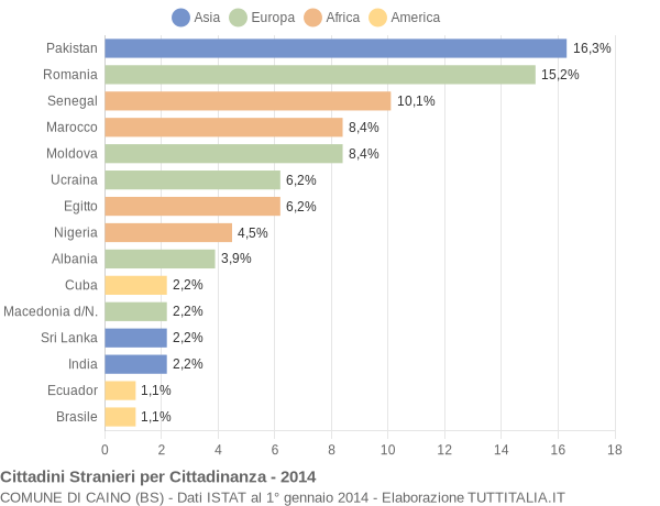 Grafico cittadinanza stranieri - Caino 2014