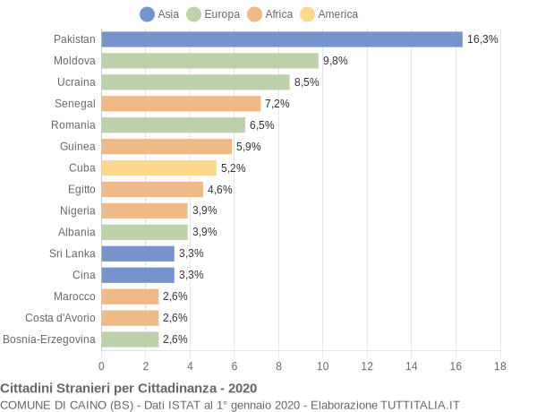 Grafico cittadinanza stranieri - Caino 2020