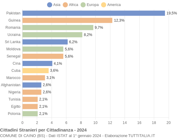 Grafico cittadinanza stranieri - Caino 2024