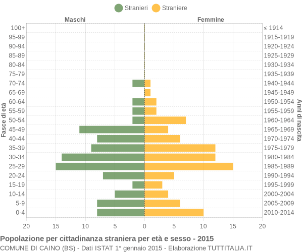 Grafico cittadini stranieri - Caino 2015