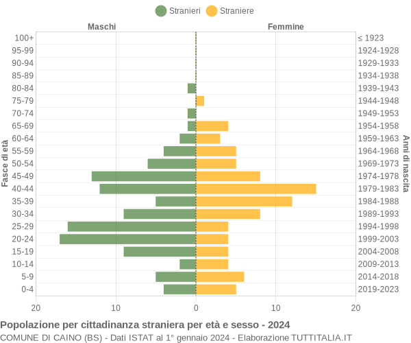 Grafico cittadini stranieri - Caino 2024