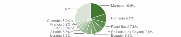 Grafico cittadinanza stranieri - Camparada 2009