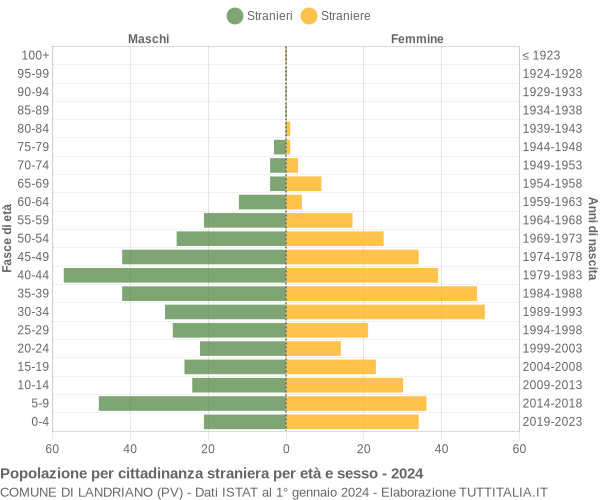 Grafico cittadini stranieri - Landriano 2024