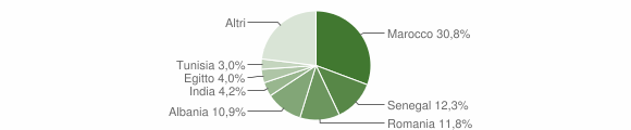 Grafico cittadinanza stranieri - Madone 2013