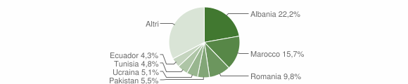 Grafico cittadinanza stranieri - Rescaldina 2011