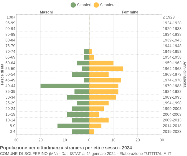 Grafico cittadini stranieri - Solferino 2024