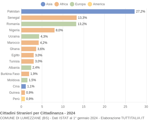 Grafico cittadinanza stranieri - Lumezzane 2024