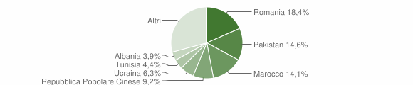 Grafico cittadinanza stranieri - Ome 2007