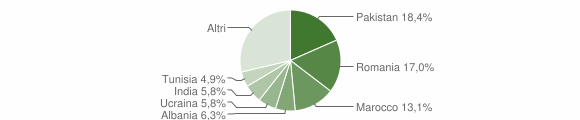 Grafico cittadinanza stranieri - Ome 2009