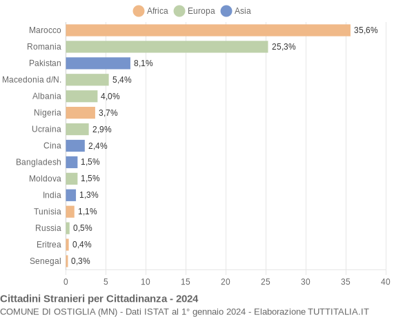 Grafico cittadinanza stranieri - Ostiglia 2024