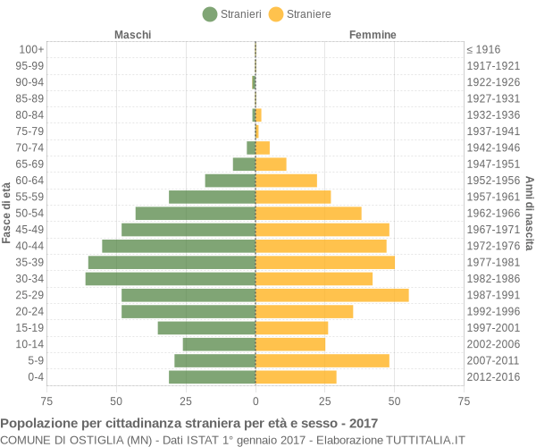 Grafico cittadini stranieri - Ostiglia 2017