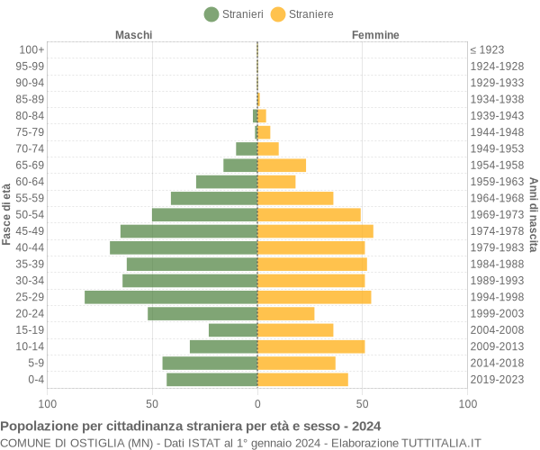 Grafico cittadini stranieri - Ostiglia 2024