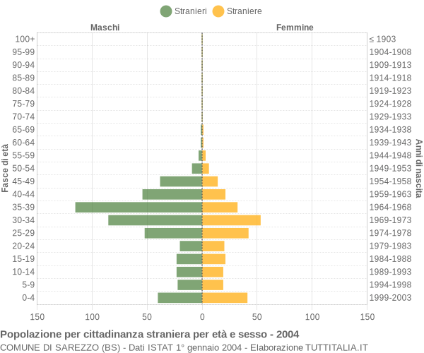 Grafico cittadini stranieri - Sarezzo 2004