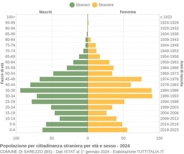 Grafico cittadini stranieri - Sarezzo 2024