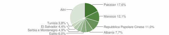 Grafico cittadinanza stranieri - Besnate 2008