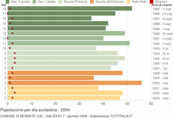 Grafico Popolazione in età scolastica - Besnate 2004