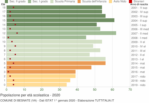 Grafico Popolazione in età scolastica - Besnate 2020