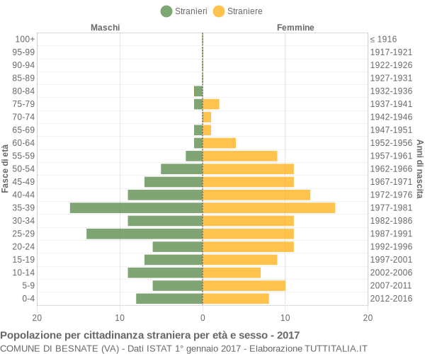 Grafico cittadini stranieri - Besnate 2017