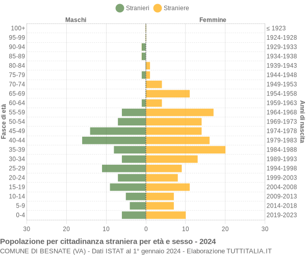 Grafico cittadini stranieri - Besnate 2024