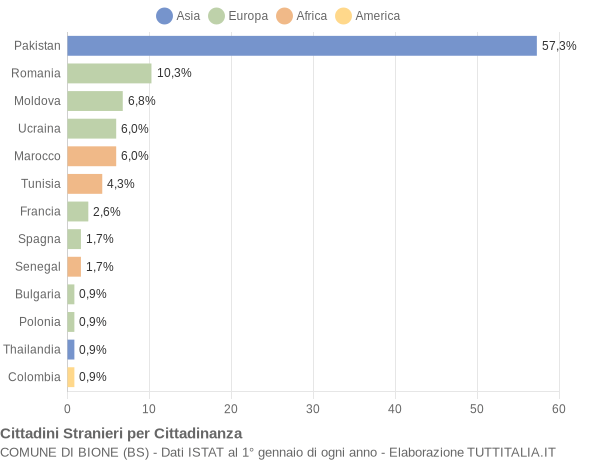 Grafico cittadinanza stranieri - Bione 2016