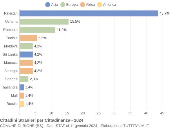 Grafico cittadinanza stranieri - Bione 2024