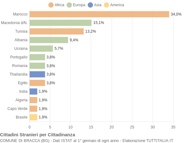 Grafico cittadinanza stranieri - Bracca 2009