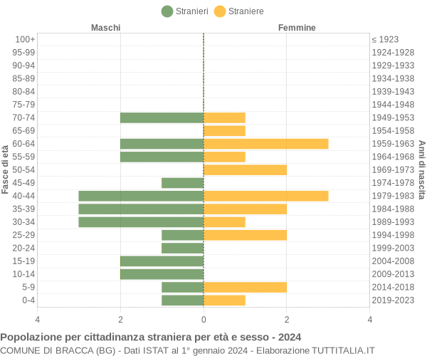 Grafico cittadini stranieri - Bracca 2024