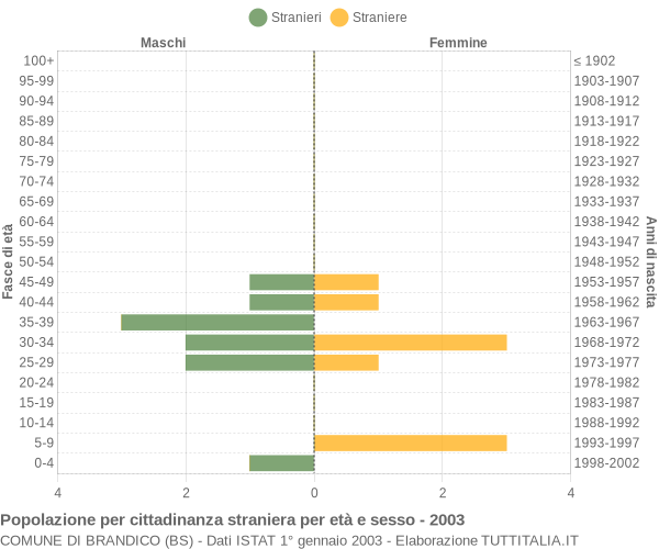 Grafico cittadini stranieri - Brandico 2003