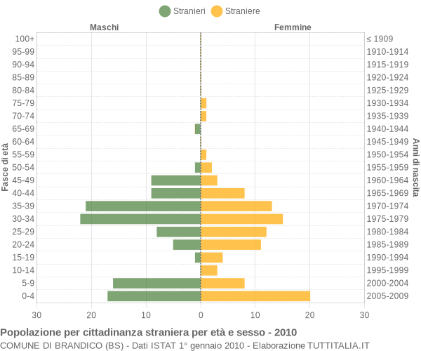Grafico cittadini stranieri - Brandico 2010