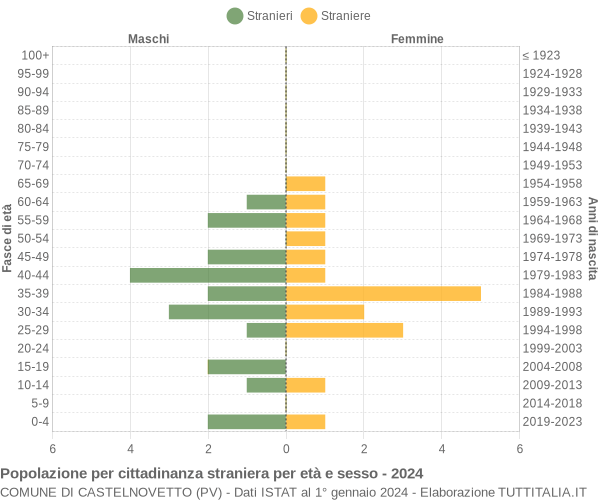 Grafico cittadini stranieri - Castelnovetto 2024