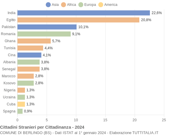 Grafico cittadinanza stranieri - Berlingo 2024