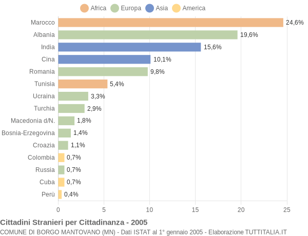 Grafico cittadinanza stranieri - Borgo Mantovano 2005