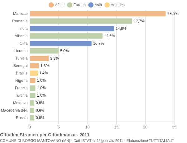 Grafico cittadinanza stranieri - Borgo Mantovano 2011