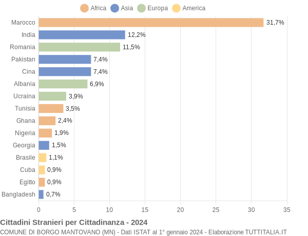 Grafico cittadinanza stranieri - Borgo Mantovano 2024