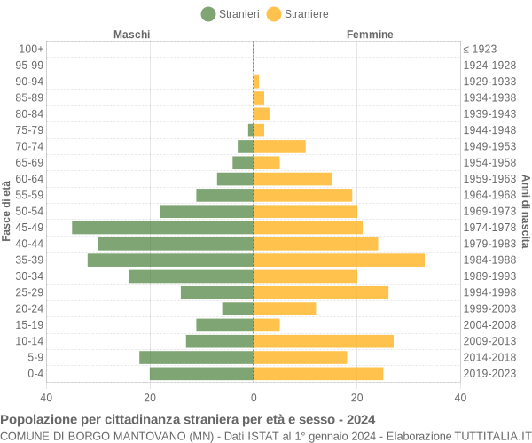 Grafico cittadini stranieri - Borgo Mantovano 2024