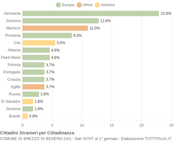 Grafico cittadinanza stranieri - Brezzo di Bedero 2018