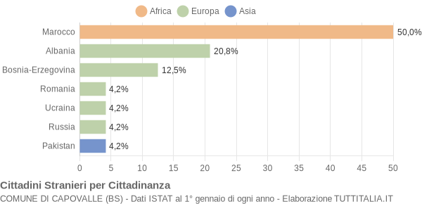 Grafico cittadinanza stranieri - Capovalle 2009