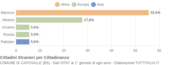 Grafico cittadinanza stranieri - Capovalle 2010