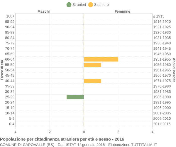 Grafico cittadini stranieri - Capovalle 2016